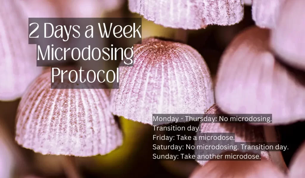 Two days a week microdosing protocol