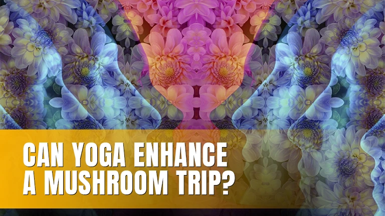 Psychedelic pattern of flowers and faces.