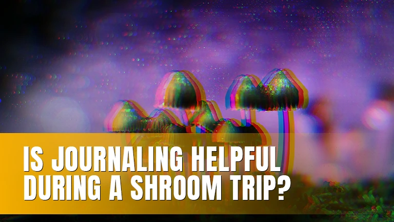 Blurred colorful mushrooms.