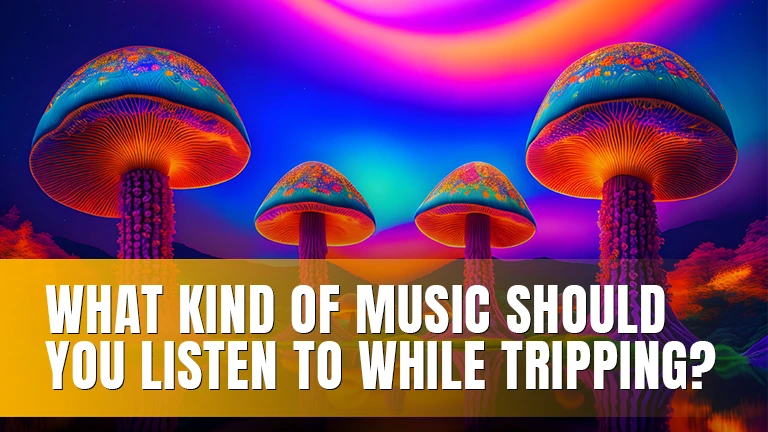 Glowing colorful mushrooms.