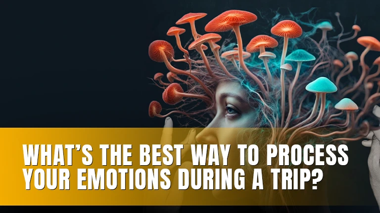 A woman's face with glowing mushrooms growing from her head.