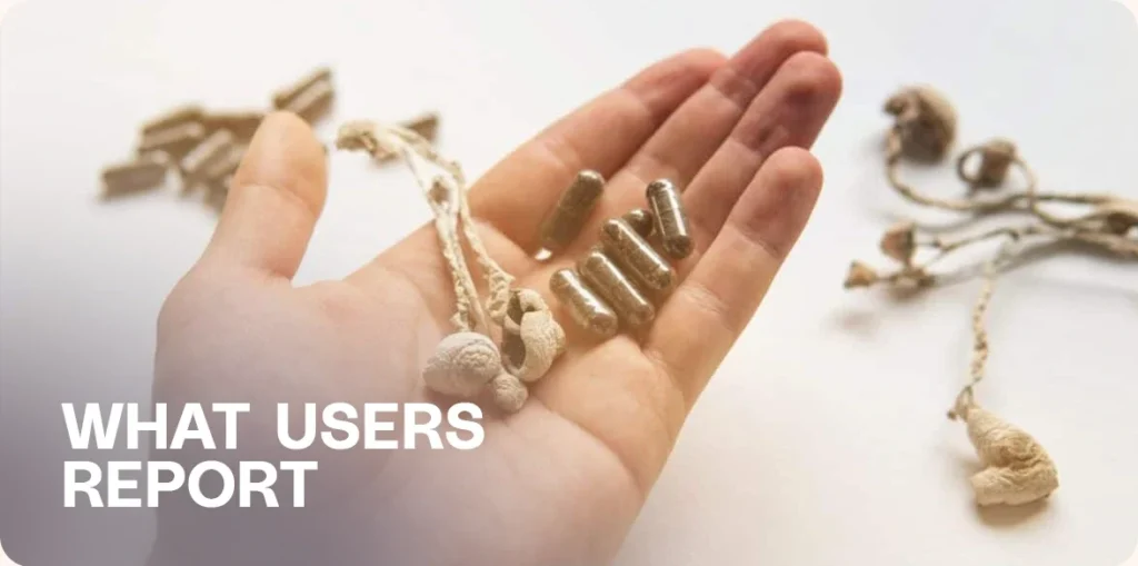 Hand holding microdosing capsules and dried mushrooms.