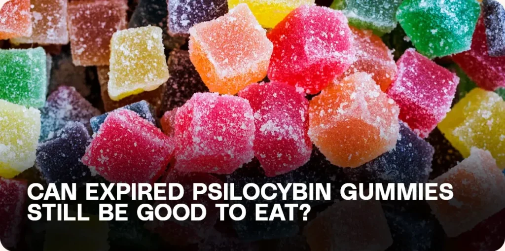 expired psilocybin gummies safety assessment