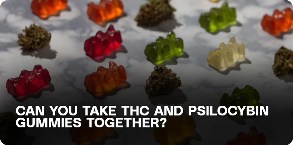 Gummy bears and cannabis buds on a reflective surface 