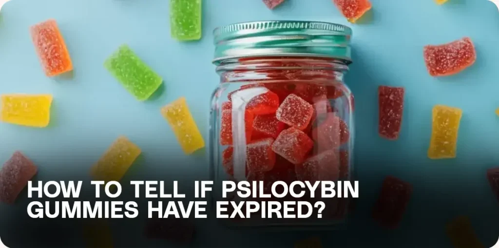 expired mushroom gummies identification guide