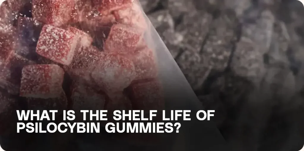 how long do mushroom gummies last storage guide