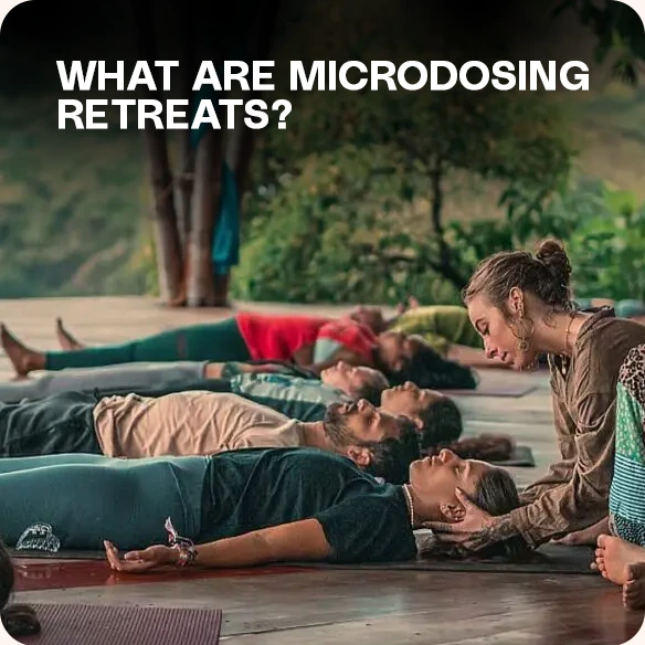 People doing microdosing retreats
