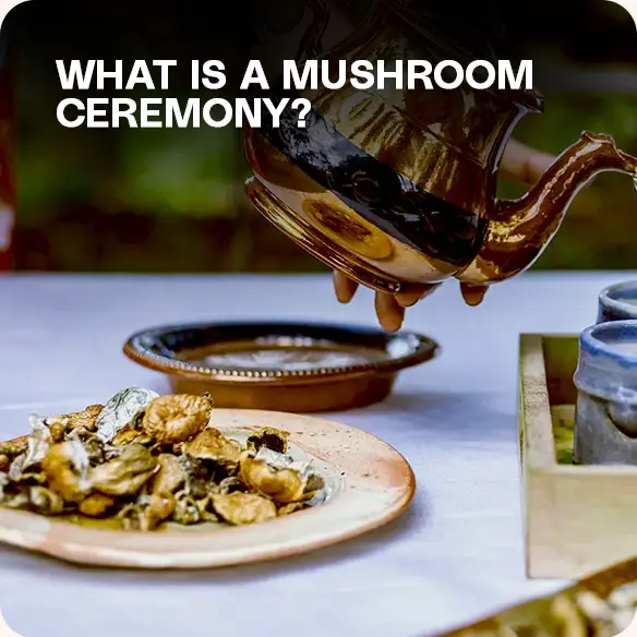 Magic Mushroom Ceremony